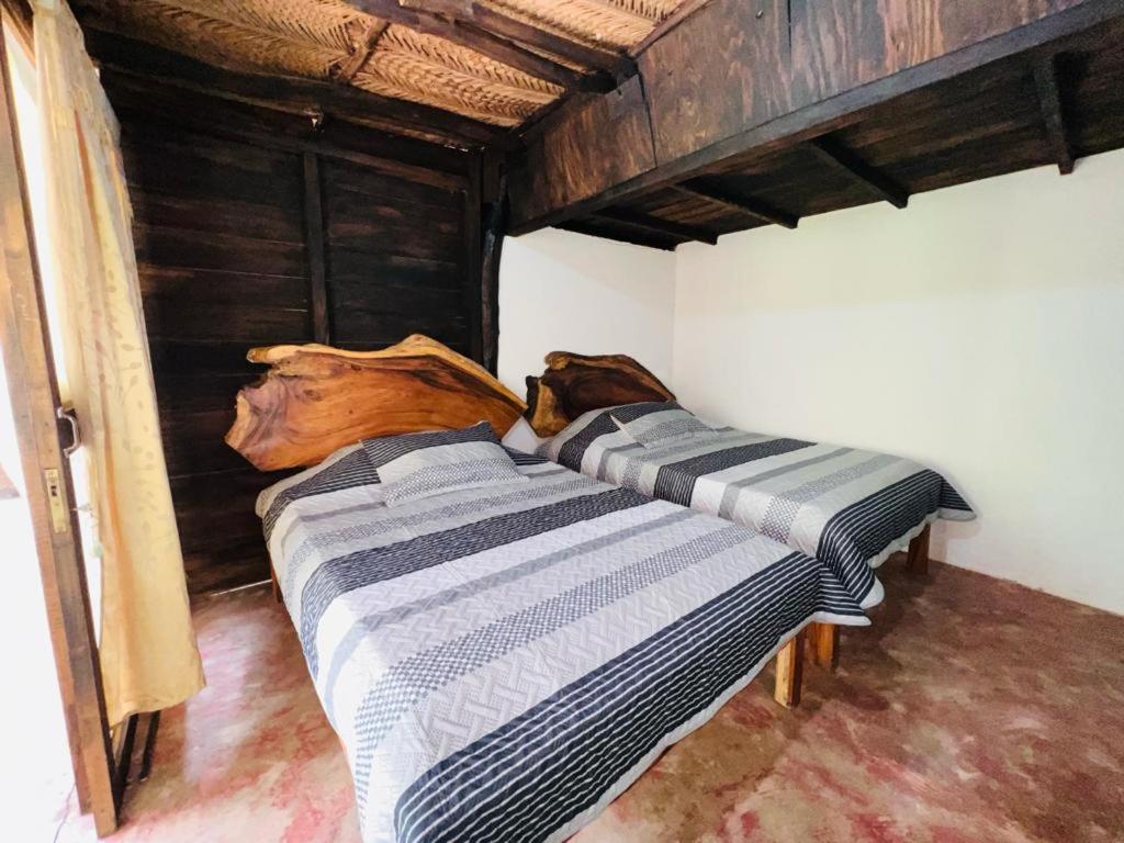 Minca Cabana La Roca Santa Marta  Ngoại thất bức ảnh