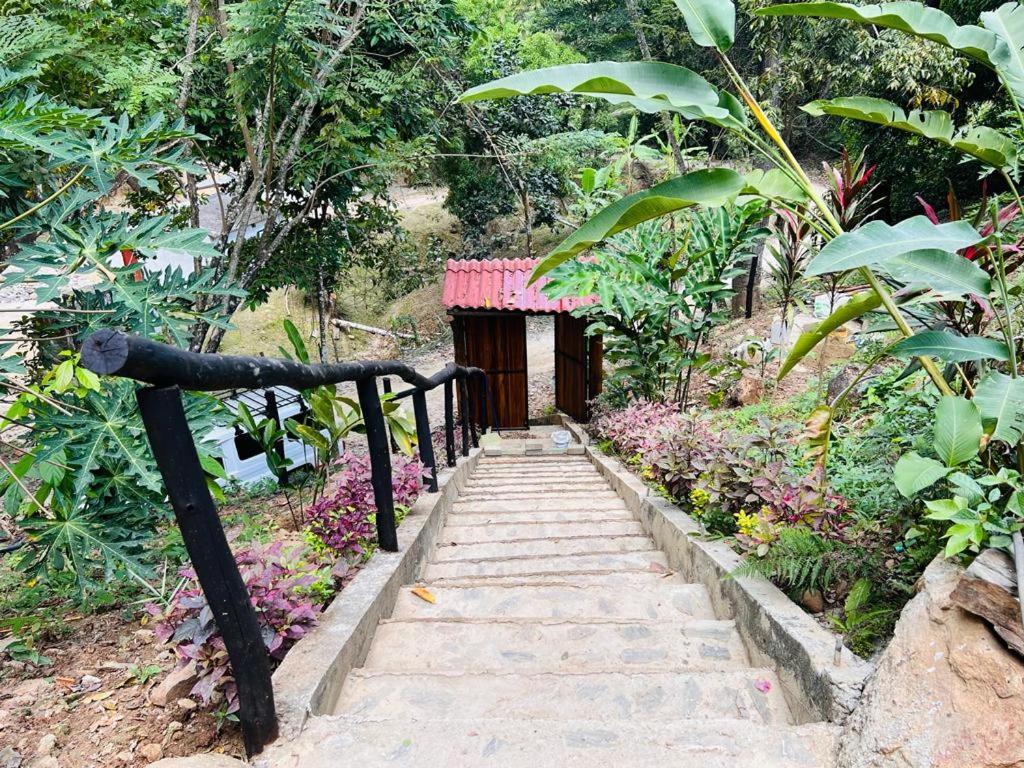 Minca Cabana La Roca Santa Marta  Ngoại thất bức ảnh