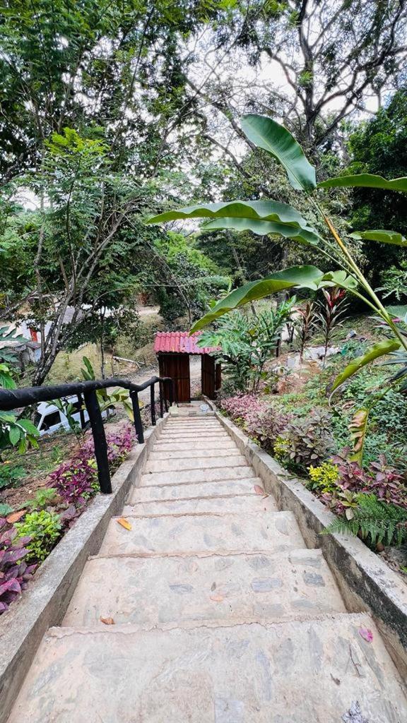 Minca Cabana La Roca Santa Marta  Ngoại thất bức ảnh