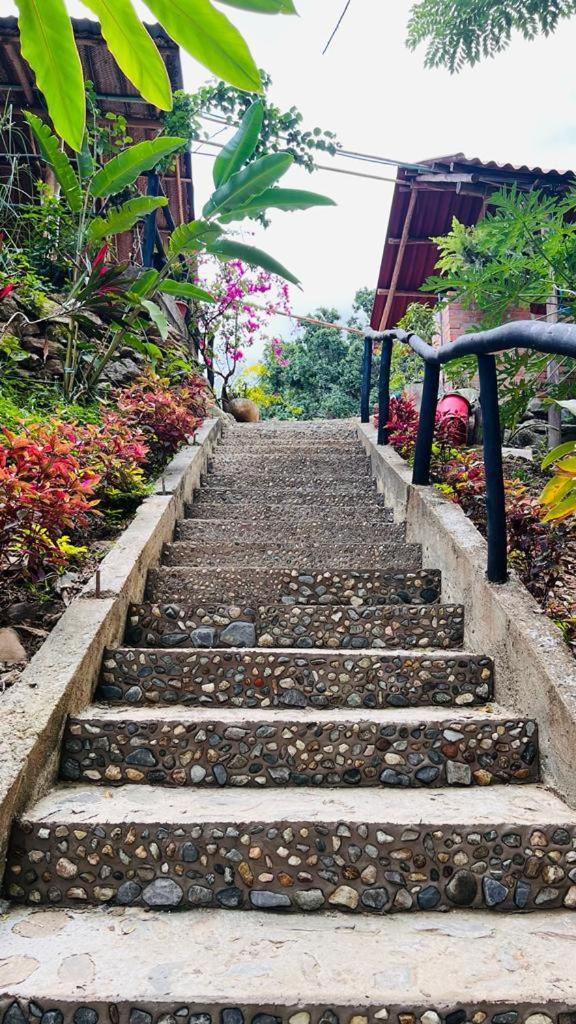 Minca Cabana La Roca Santa Marta  Ngoại thất bức ảnh